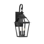 Jackson Outdoor Wall Sconce - Black / Clear