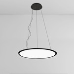 Discovery Suspension - Floor Model - Black / Transparent