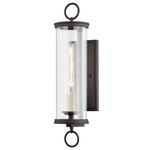 Aiden Outdoor Wall Sconce - Bronze / Clear