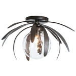 Dahlia Globe Ceiling Light Fixture - Dark Smoke / Water Glass