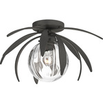 Dahlia Globe Ceiling Light Fixture - Natural Iron / Water Glass