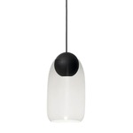 Liuku Ball Pendant with Glass Shade - Black Stain Lacquered / Clear