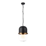 Tillie Pendant - Matte Black / Clear Tillie Pendant - Matte Black / Clear