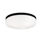 Xenon Flush Ceiling Light - Black / White