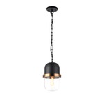 Tillie Pendant - Matte Black / Clear Tillie Pendant - Matte Black / Clear