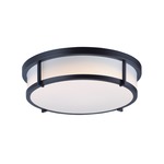 Rogue Ceiling Light Fixture - Black / White