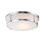 Rogue Ceiling Light Fixture - Satin Nickel / White