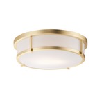 Rogue Ceiling Light Fixture - Satin Brass / White