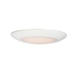 Diverse T24 Wet Location Flush Mount Ceiling Light - White / White Glass