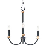 Charlton Chandelier - Black / Antique Brass