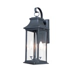 Vicksburg Outdoor Wall Sconce - Black / Clear