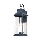 Vicksburg Outdoor Wall Sconce - Black / Clear