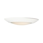 Diverse T24 Wet Location Ceiling Light - White / White