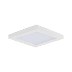 Chip Outdoor Square Flush Ceiling Light - White / White