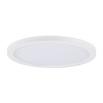 Chip Outdoor Round Flush Ceiling Light - White / White