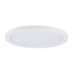 Chip Outdoor Round Flush Ceiling Light - White / White