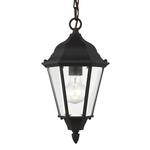 Bakersville Outdoor Pendant - Black / Satin Etched