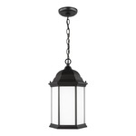 Sevier Outdoor Pendant - Black / Satin Etched