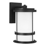 Wilburn Dark Sky Outdoor Wall Sconce - Black