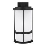 Wilburn Dark Sky Outdoor Wall Sconce - Black