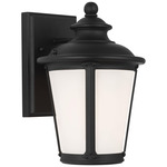 Cape May Outdoor Wall Sconce - Black / Etched White