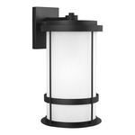 Wilburn Dark Sky Outdoor Wall Sconce - Black