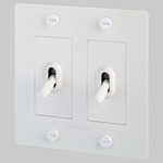 Buster + Punch Complete Polycarbonate Toggle Switch - White