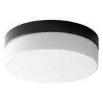 Zuri Wall/Ceiling Light - Black / Matte White Acrylic