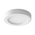 Elite Ceiling/Wall Light - White / Matte White Acrylic