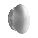 Rickie Outdoor Wall Sconce - Brushed Aluminum / Clear