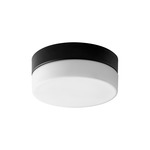 Zuri Wall/Ceiling Light - Black / Matte White Acrylic