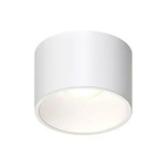 Ilios Ceiling Light Fixture - Satin White / Frosted