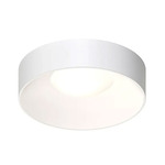 Ilios Ceiling Light Fixture - Satin White / Frosted