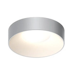 Ilios Ceiling Light Fixture - Dove Grey / Frosted