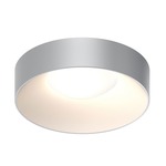 Ilios Ceiling Light Fixture - Dove Grey / Frosted