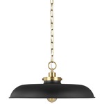 Wellfleet Pendant - Burnished Brass / Midnight Black