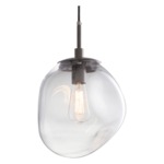 Aster Pendant - Metallic Beige Silver / Clear