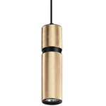 Cicada High Band Pendant - Brushed Brass / Black