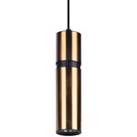 Cicada High Band Pendant - Brass / Black