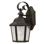 Edgewater Outdoor Wall Light - Oil Rubbed Bronze / Clear Seedy