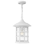 Freeport 120V Composite Outdoor Pendant - Textured White / Clear Seedy