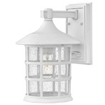 Freeport 120V Composite Outdoor Wall Sconce - Textured White / Clear Seedy