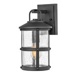 Lakehouse 120V Outdoor Wall Sconce - Black / Clear Seedy