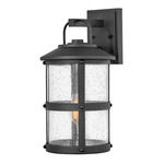 Lakehouse 120V Outdoor Wall Sconce - Black / Clear Seedy
