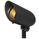 120V Outdoor PAR Spot Light - Black / Clear