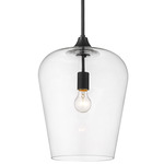 Joliet Pendant - Matte Black / Clear