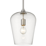 Joliet Pendant - Brushed Nickel / Clear