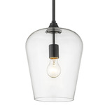 Joliet Pendant - Matte Black / Clear