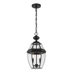Westover Outdoor Pendant - Black / Clear
