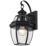Westover Outdoor Wall Sconce - Black / Clear